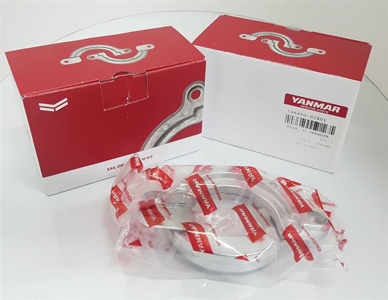 Foto a scopo illustrativo / Sample Photo - 8LV Belt